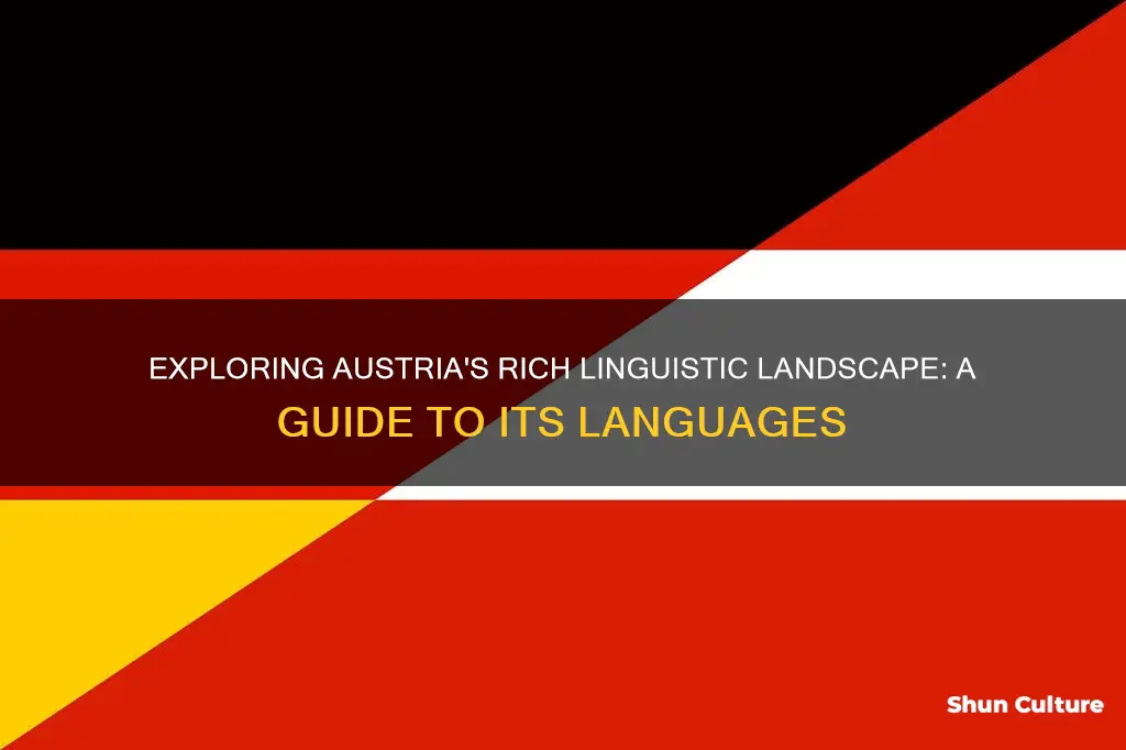 what language is spoken im austria