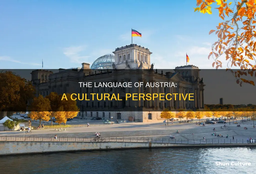 what language is spoken im austria