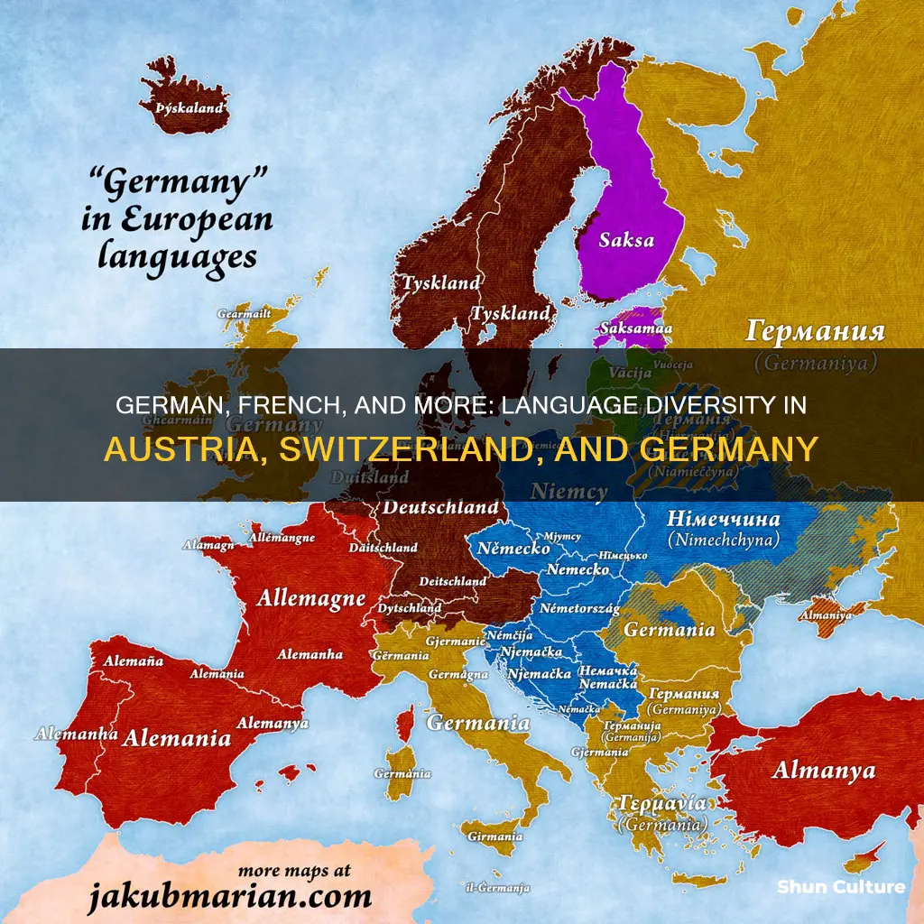 what language is spoken in austria switzerland and germany