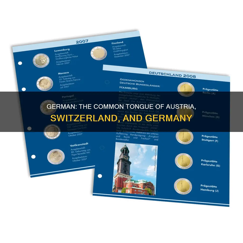 what language is spoken in austria switzerland and germany