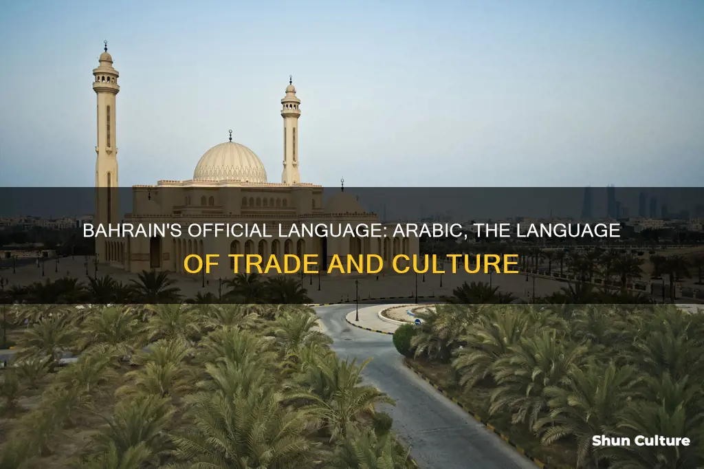 what language is spoken in bahrain