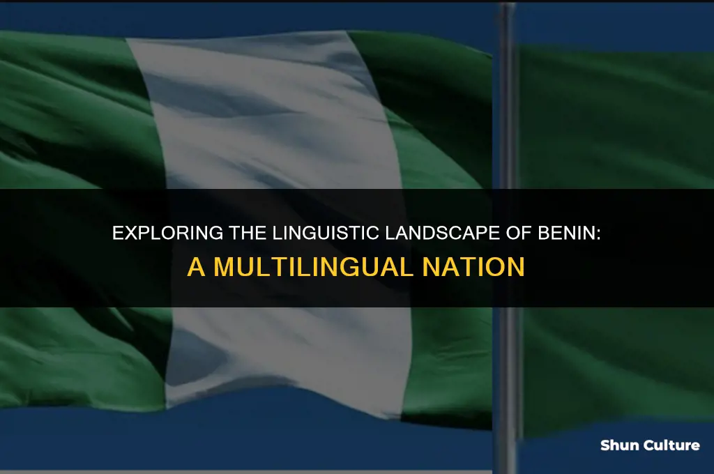what language is spoken in benin