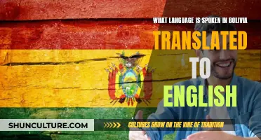 Exploring the Languages of Bolivia and Their English Translations