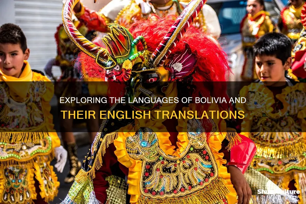 what language is spoken in bolivia translated to english