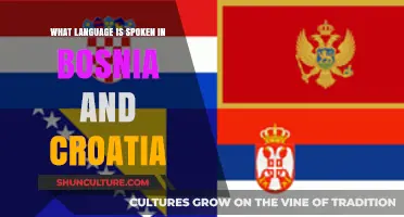 Languages of Bosnia and Croatia: A Comprehensive Guide to Communication