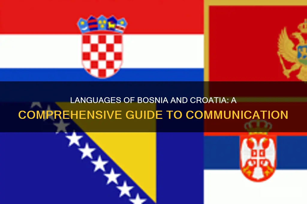 what language is spoken in bosnia and croatia