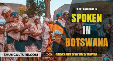Discover Botswana's Official Language: Setswana and English in Daily Use