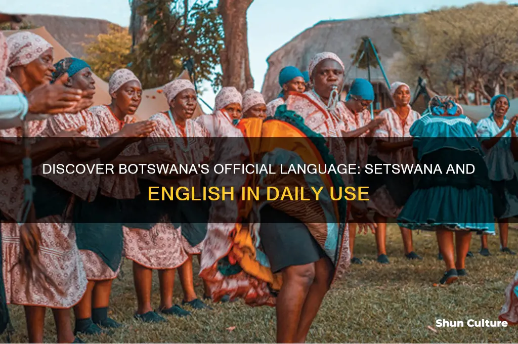 what language is spoken in botswana
