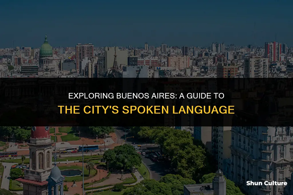 what language is spoken in buenos aires