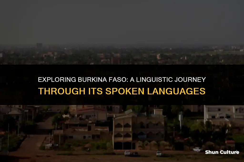 what language is spoken in burkina faso