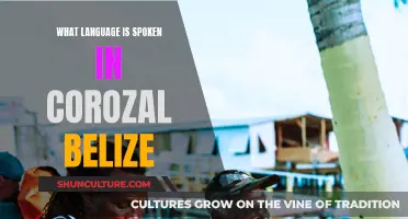 Corozal's Language: A Unique Mix