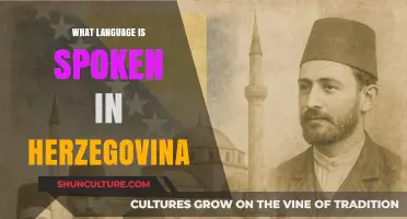 Languages of Herzegovina: Exploring the Rich Linguistic Heritage of the Region