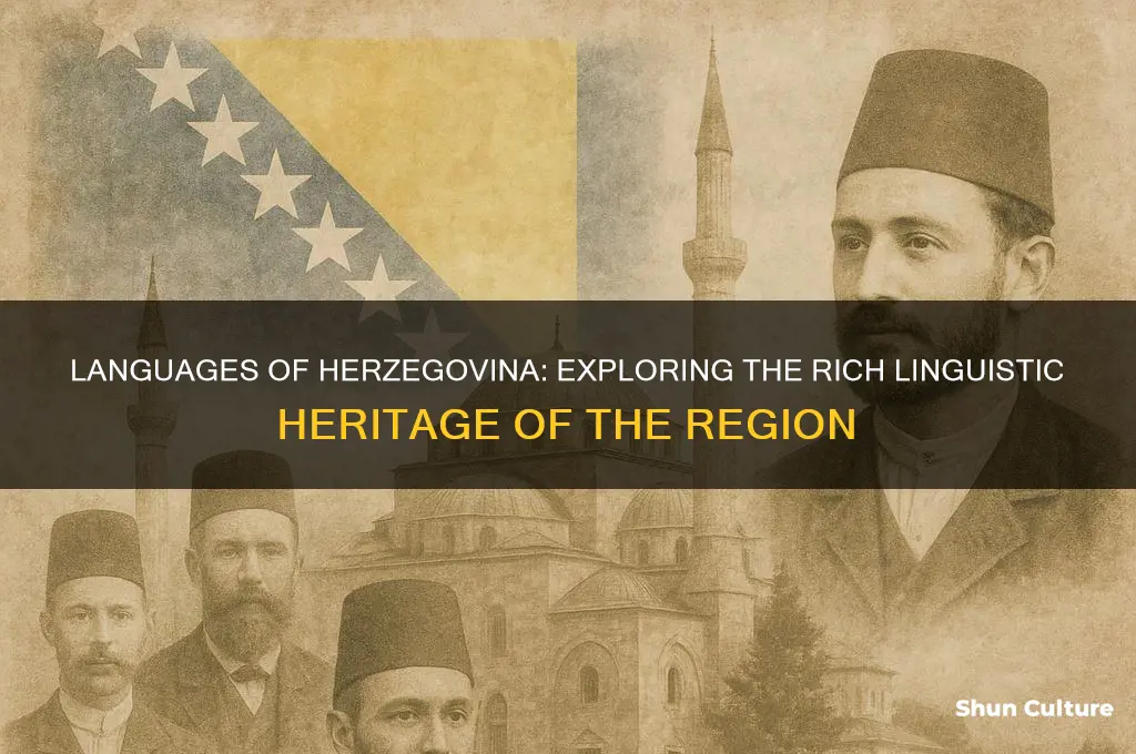 what language is spoken in herzegovina