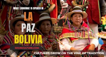 La Paz, Bolivia: A City of Linguistic Diversity