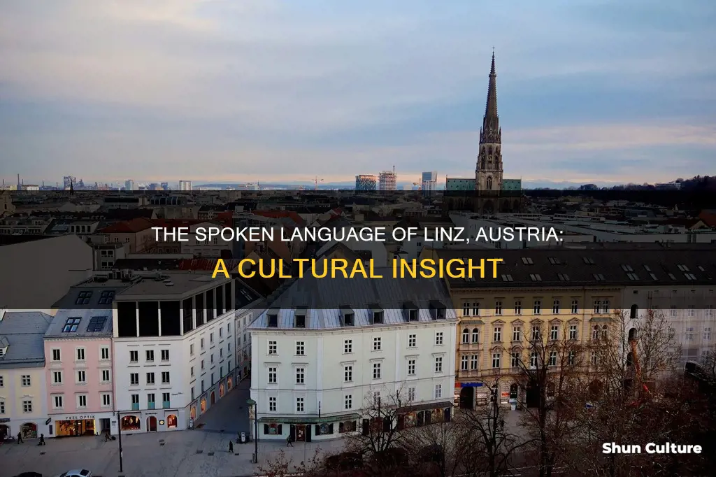 what language is spoken in linz austria