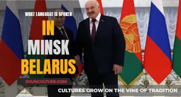 Minsk's Language: A Unique Blend of Slavic Culture