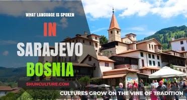 Sarajevo's Linguistic Landscape: Exploring Bosnia's Official and Spoken Languages