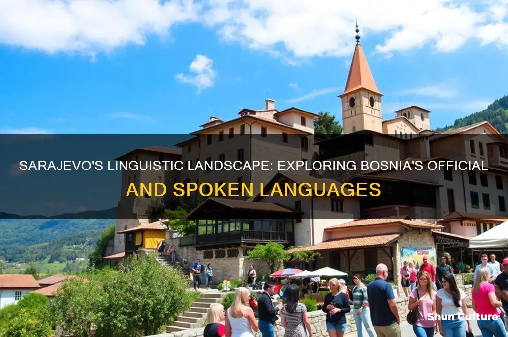 what language is spoken in sarajevo bosnia