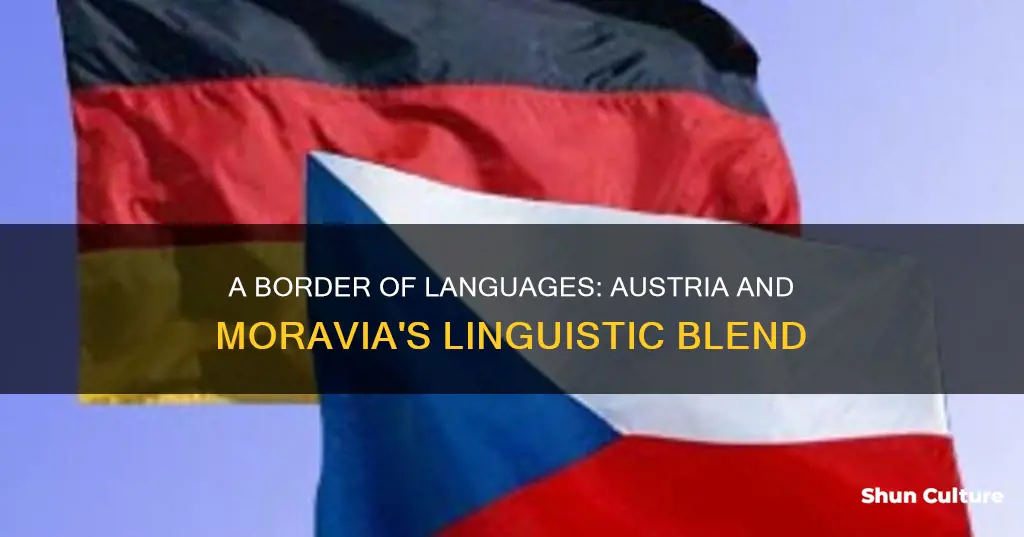 what language is spoken on boarder of austria and moravia