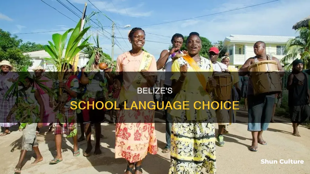 what language is used in belize schools