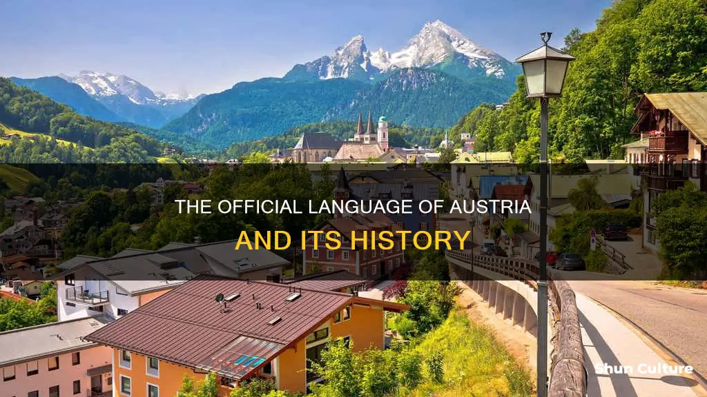 what language us spoken in austria