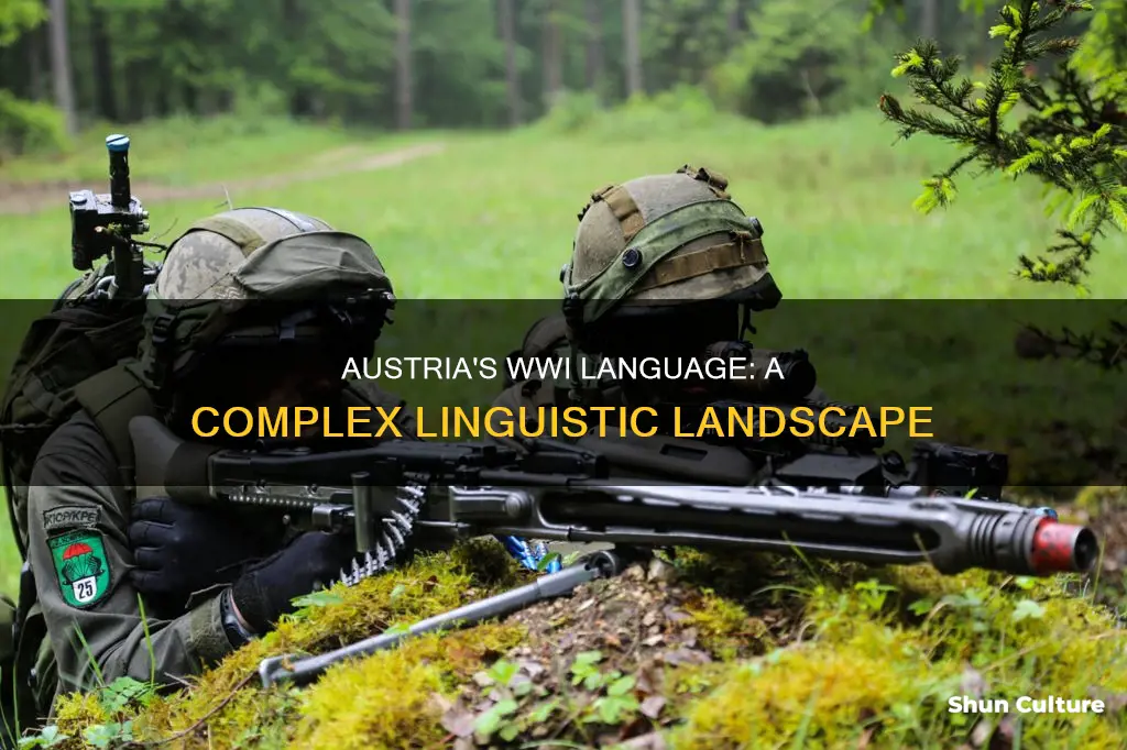 what language was spoken in austria in wwi