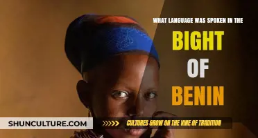 Echoes of the Past: Unraveling the Linguistic History of the Bight of Benin