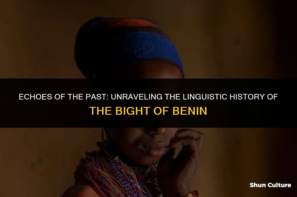 what language was spoken in the bight of benin