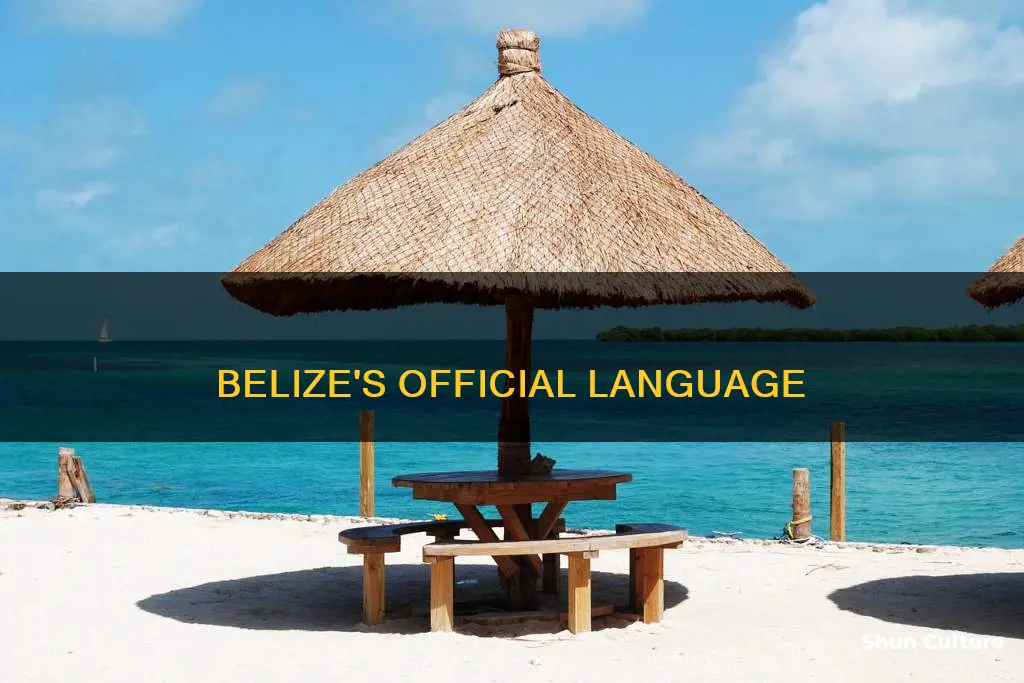 what lanhuage is spoken in belize