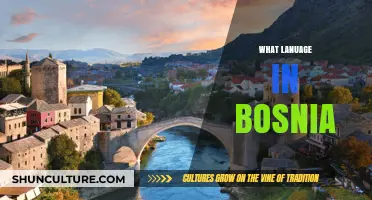 Exploring Bosnia's Linguistic Diversity: Official Languages and Dialects Spoken