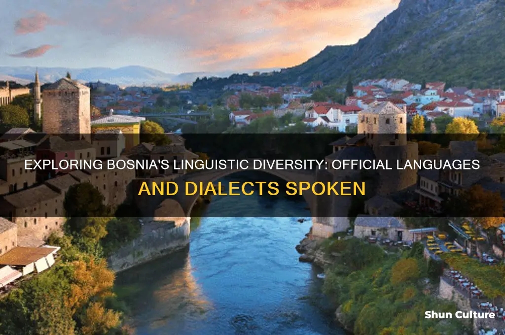 what lanuage in bosnia