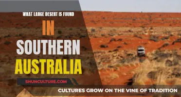 Exploring Australia's Iconic Outback: The Great Victoria Desert
