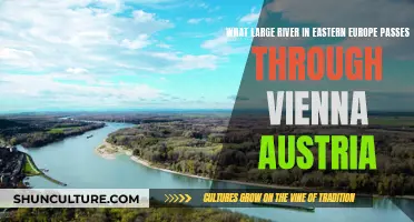 Danube's Journey: Vienna's Eastern European Gateway