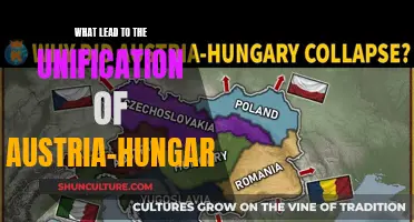 The Complex Web of Factors Behind Austria-Hungary's Unification