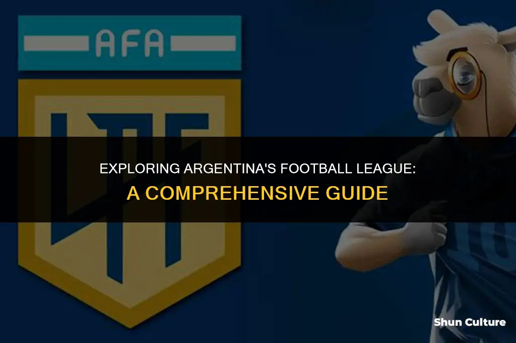 what league is argentina in