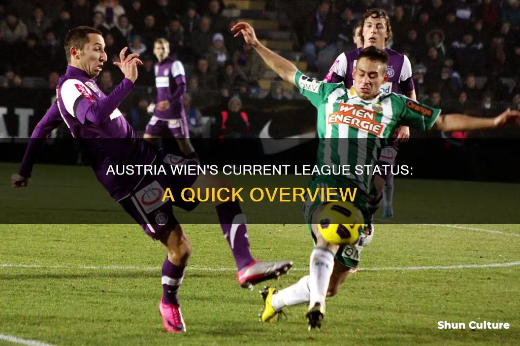 what league is austria wien in