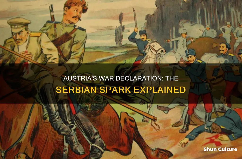 what led austria to declare war on serbia