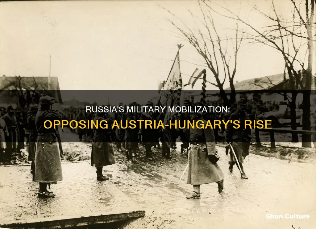 what led russia to mobilize its military to oppose austria-hungary