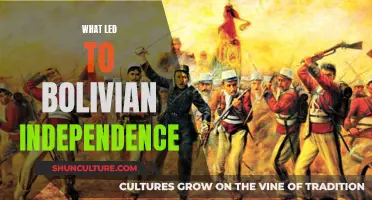 Bolivian Independence: Factors and Causes Explored