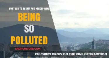 Bosnia and Herzegovina's Pollution Crisis: Uncovering the Root Causes