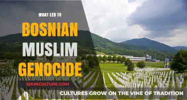 The Bosnian Muslim Genocide: Unraveling the Causes and Historical Context