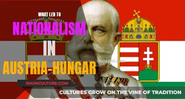 The Spark of Austrian-Hungarian Nationalism: A Historical Journey