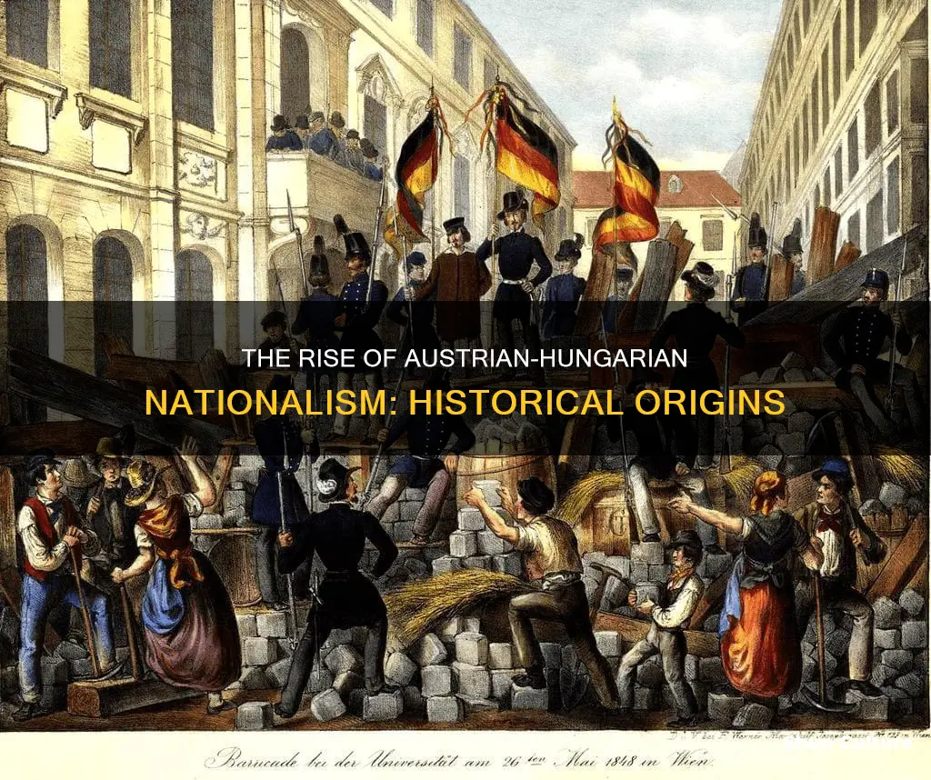 what led to nationalism in austria-hungary