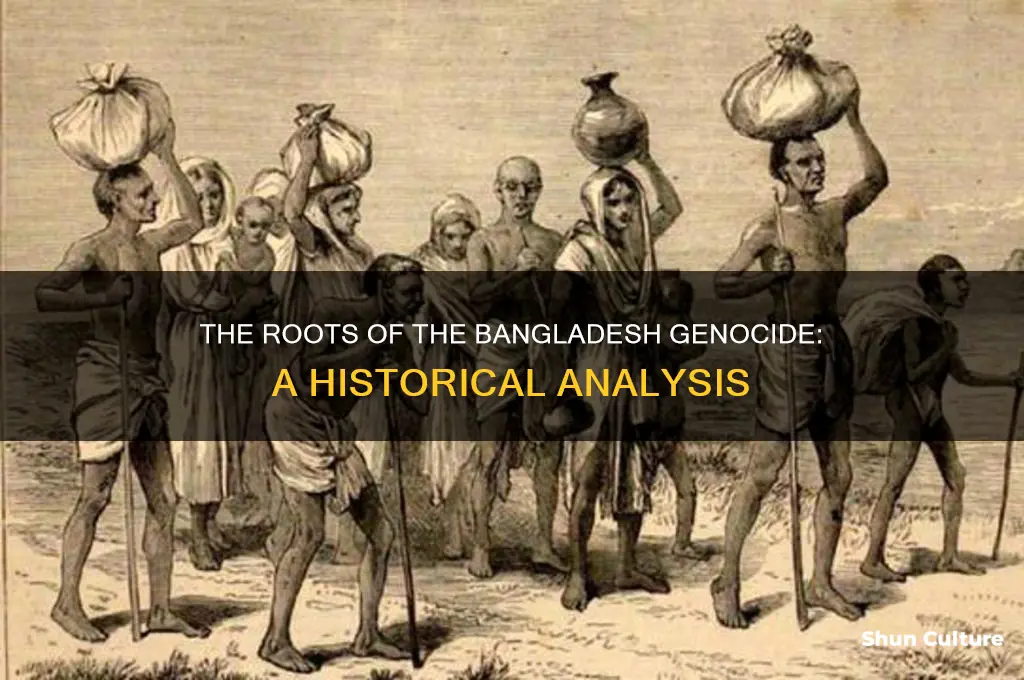 what led to the bangladesh genocide