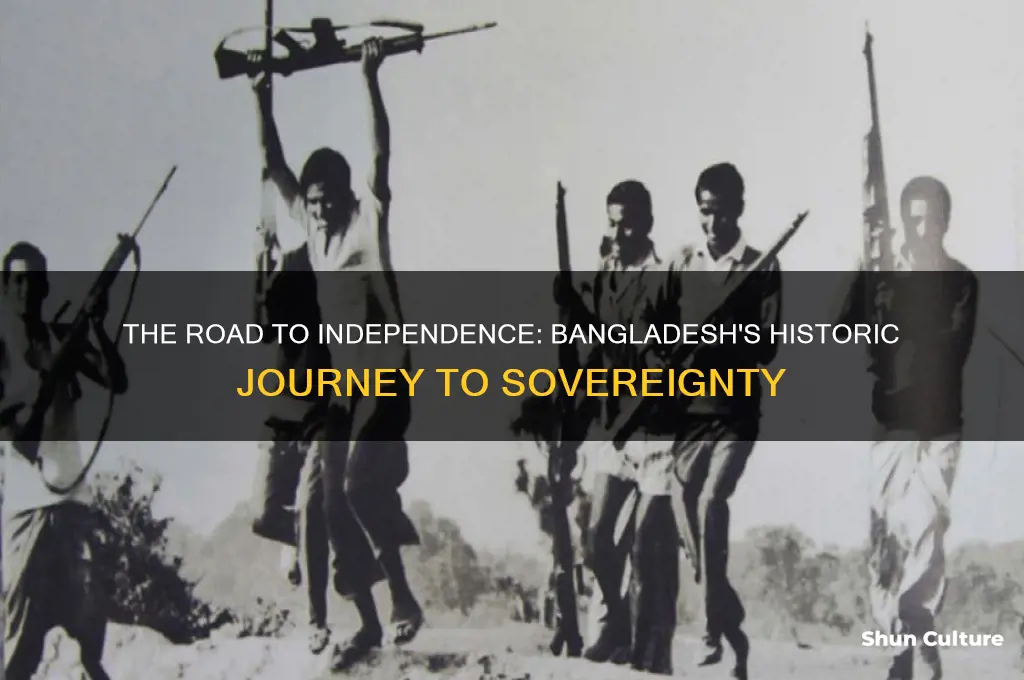 what led up to bangladesh declared itself an independent country