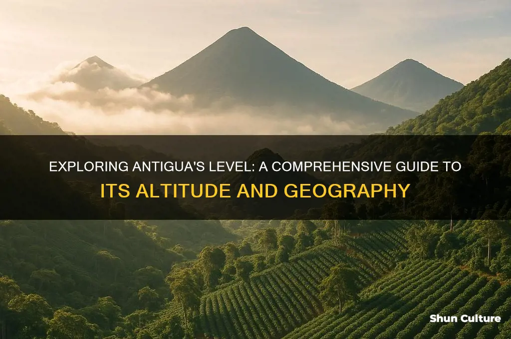 what level is antigua