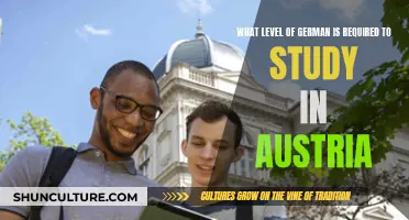 Unlocking Academic Success: German Proficiency for Austrian Studies