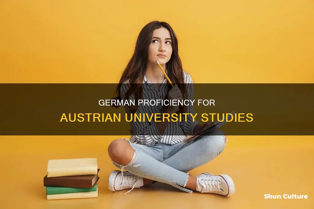 what level of german is required to study in austria