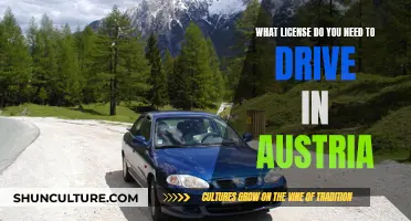 Unlocking the Roads: Austria's Driving License Requirements