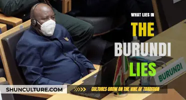 Unveiling the Truth: The Complex Web of Burundi's Deceptions